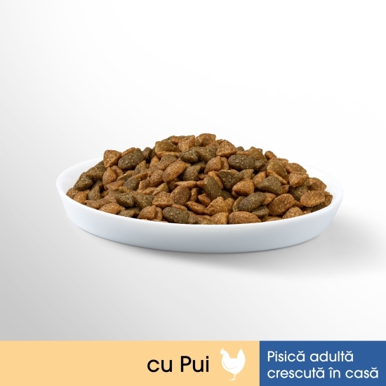 Hrană uscată pentru pisici de interior adulte, 1.4kg, cu pui