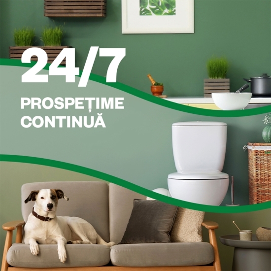 Rezervă odorizant de cameră spray automat fără aerosoli Buchet de Iasomie 228ml