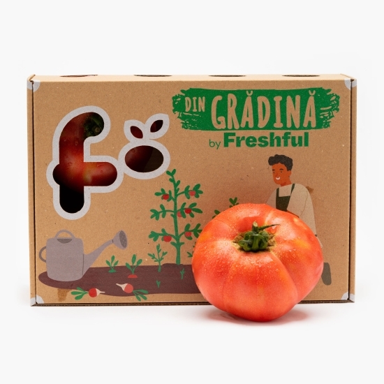 Roșii de grădină România, dulci și suculente 1.5kg