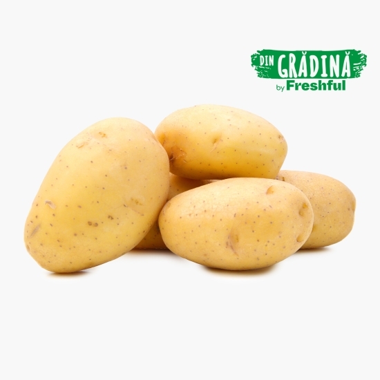 Cartofi pentru copt România 2.5 kg