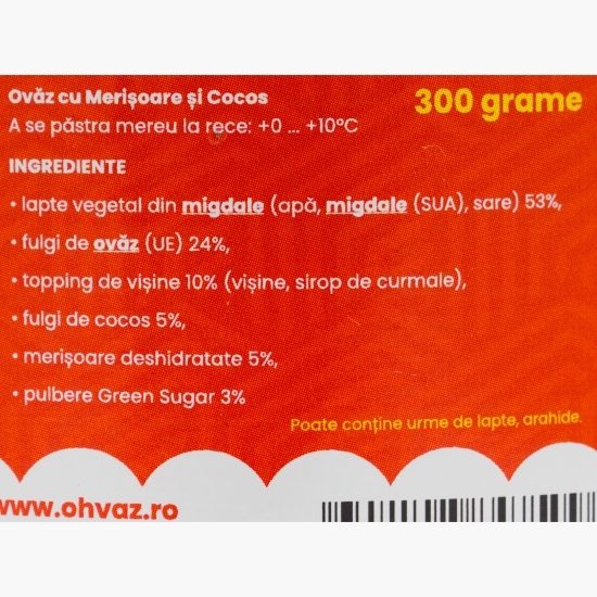 Budincă de ovăz cu merișoare, cocos și vișine, fără zahăr adăugat 300g