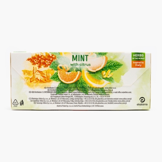 Ceai cu aromă de mentă și citrice, 20 plicuri 