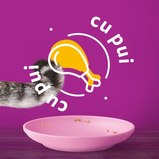 Hrană umedă pentru pisici junior, 85g, cu pui în aspic 