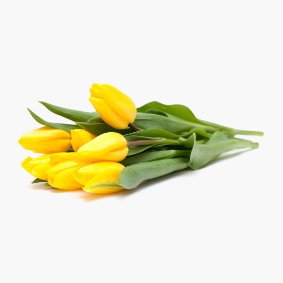 Buchet lalele galbene, 7 fire