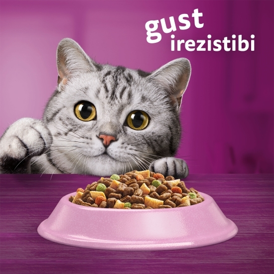 Hrană uscată pentru pisici adulte, 1.4kg, cu somon