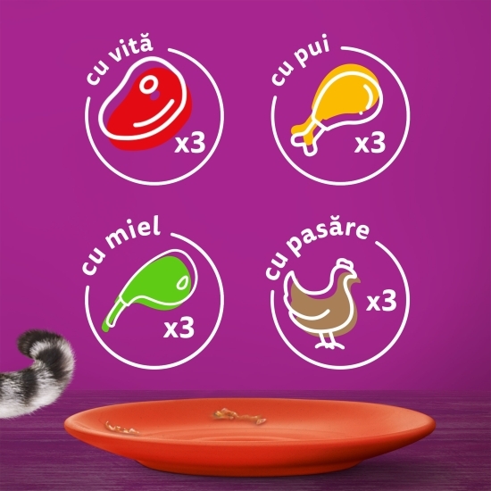 Hrană umedă pentru pisici adulte, 12x85g, Mese Clasice în sos cu vită, miel, pui, pasăre 