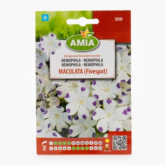 Semințe nemophila albă cu pete violet  2.5g