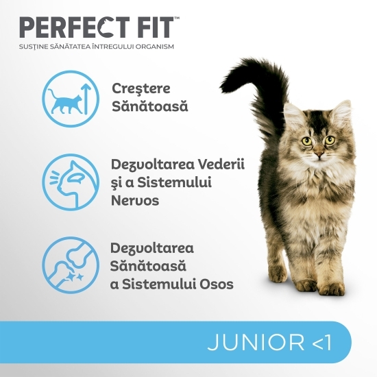 Hrană uscată pentru pisici junior, 750g, cu pui