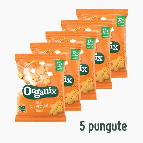 Mini biscuiți ecologici cu ghimbir 5x20g, 12+ luni