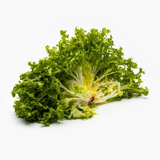 Salată Frisee 1 buc