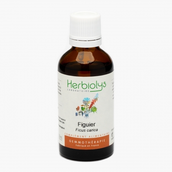 Extract din muguri de smochin eco 50ml