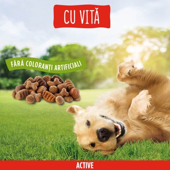 Hrană uscată pentru câini adulți, 2.4kg, Active cu vită