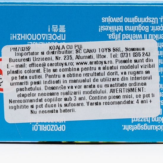 Koala cu pui 4+ ani