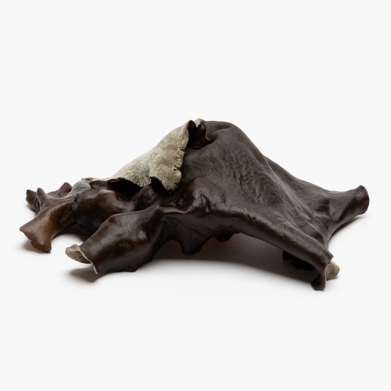 Ciuperci urechi de lemn 250g