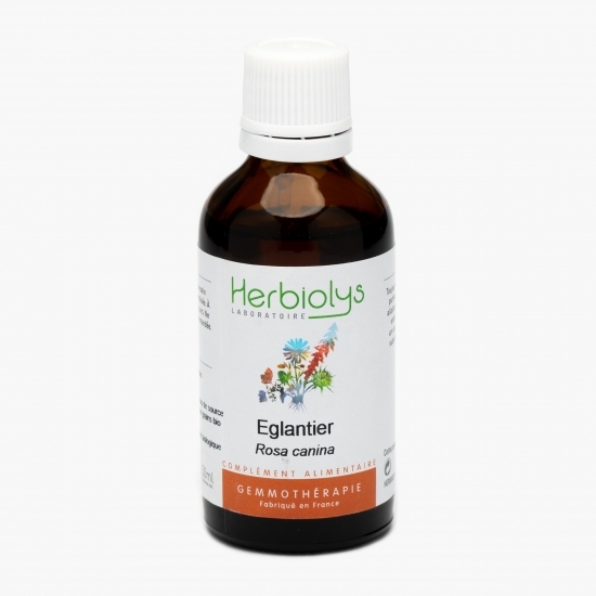 Extract din muguri de măceș eco 50ml