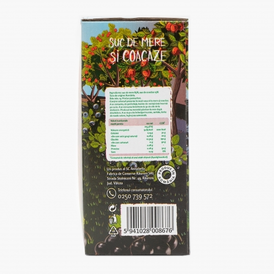 Suc mere și coacăze 3l