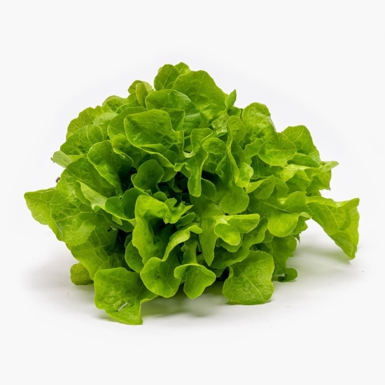 Salată Salanova cu rădăcină 1 buc