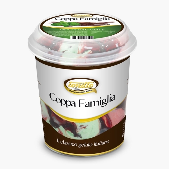 Înghețată cu mentă și ciocolată 500g