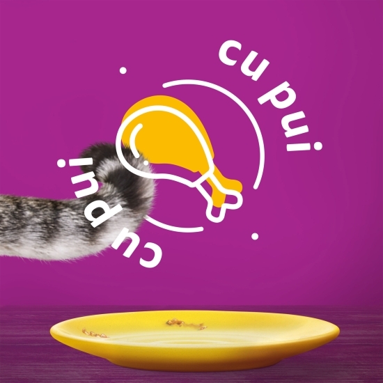 Hrană umedă pentru pisici adulte, 85g, cu pui în aspic