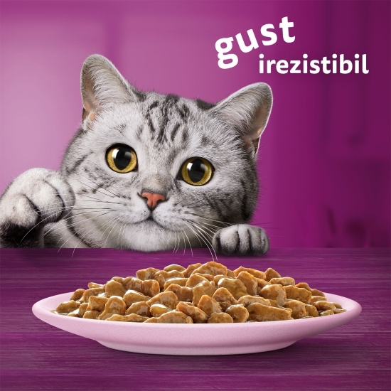 Hrană umedă pentru pisici adulte, 85g, cu somon