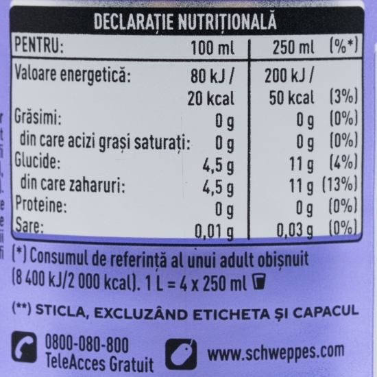 Băutură carbogazoasă Purple Tonic Style 1l