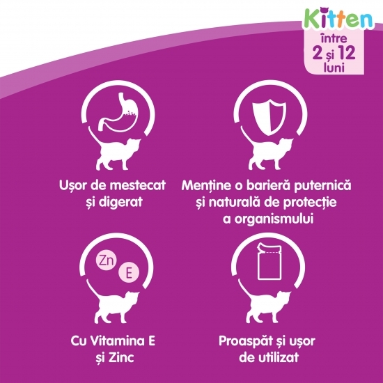 Hrană umedă pentru pisici junior, 85g, cu pui în aspic