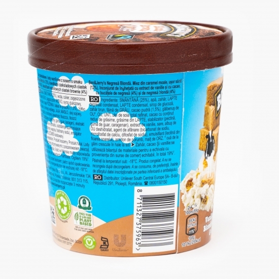 Înghețată Blondie Brownie Core 416g