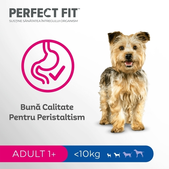 Hrană uscată pentru câini adulți de talie mică, 1.4kg, cu pui