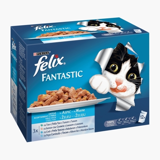 Hrană umedă pentru pisici, 12x100g, cu pește