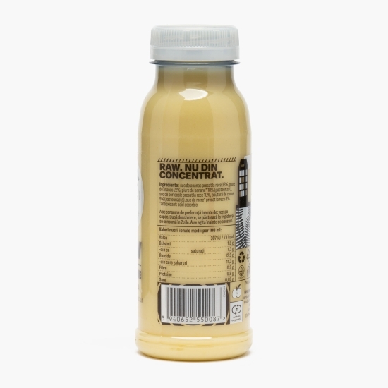 Raw smoothie Pina Coolada 0.25l