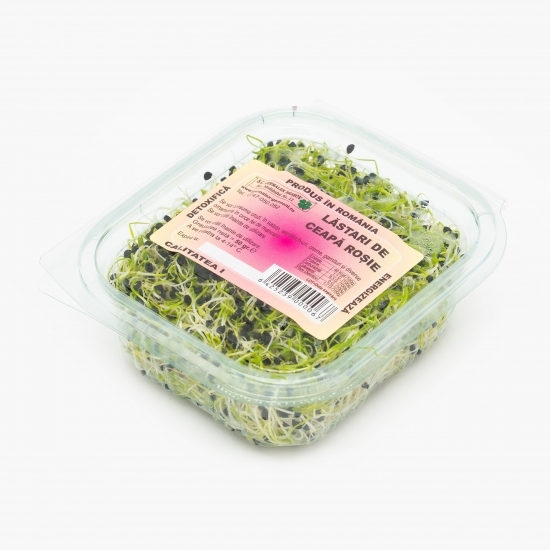 Lăstari de ceapă roșie 50g