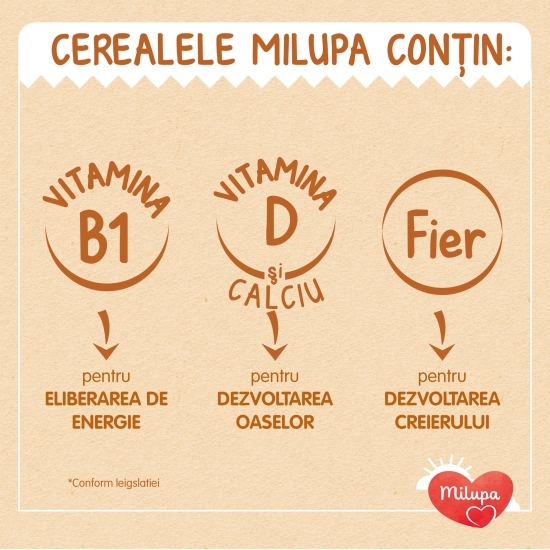 Cereale cu fructe Bună dimineața de la 12 luni 250g