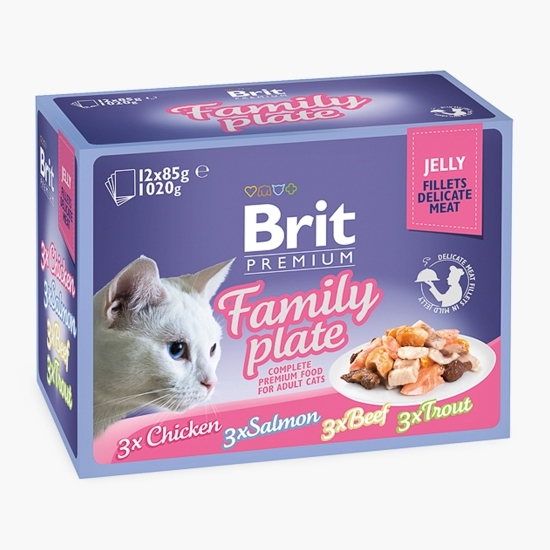 Pachet mix hrană umedă pentru pisici adulte (pui, vită, somon și păstrăv), 12x85g