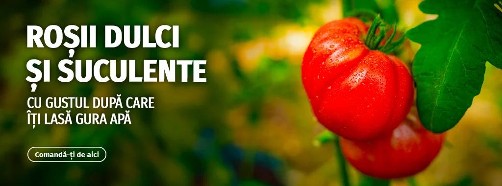 Bannere Mici Rosii-cw25