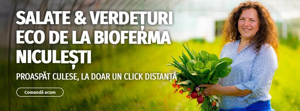 Ferma Niculești