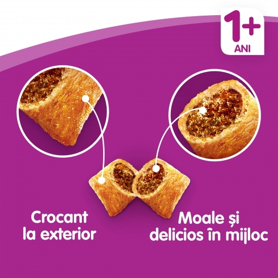 Hrană uscată pentru pisici adulte 1.4kg, cu miel
