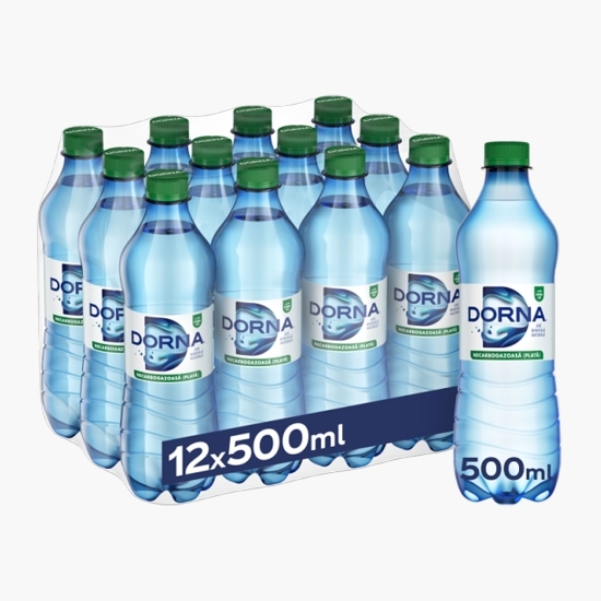 Apă minerală naturală necarbogazoasă 12x500 ml