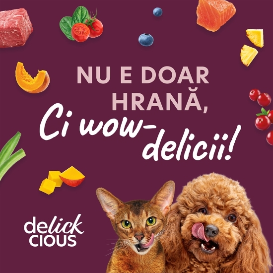 Hrană umedă pentru pisici, cu felii din carne de miel, file de pui și fasole verde în jeleu, 85g