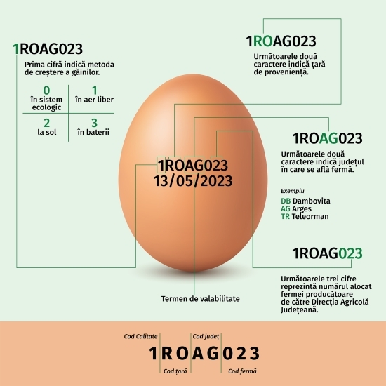 Ouă proaspete, mărime L, cod 2, 6 buc