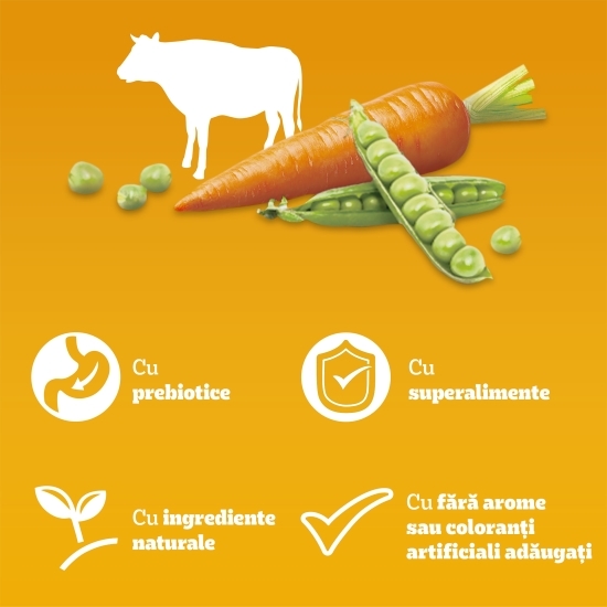 Hrană uscată pentru câini adulți de talie mică, 3kg, Mini cu vită și legume
