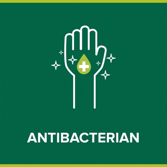 Săpun solid antibacterian Hygiene Plus Aloe Vera 90g