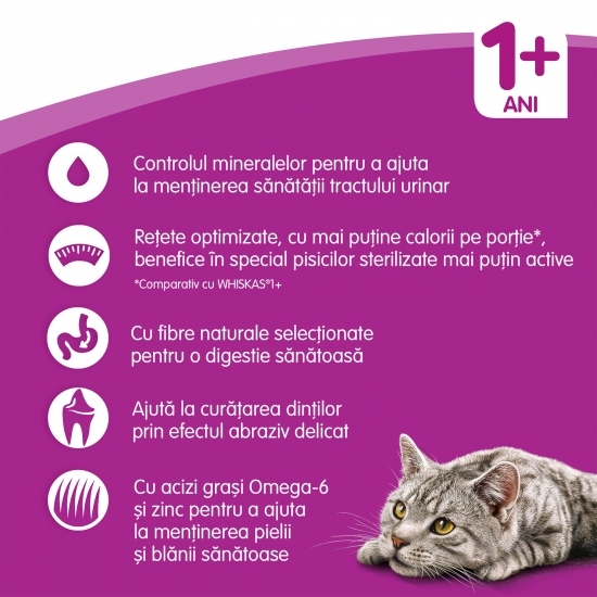 Hrană uscată pentru pisici sterilizate adulte, 1.4kg, cu pui