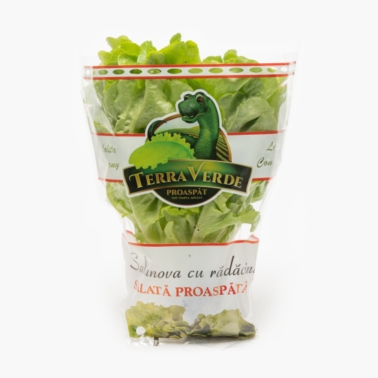 Salată Salanova bionda  cu rădăcină 1 buc