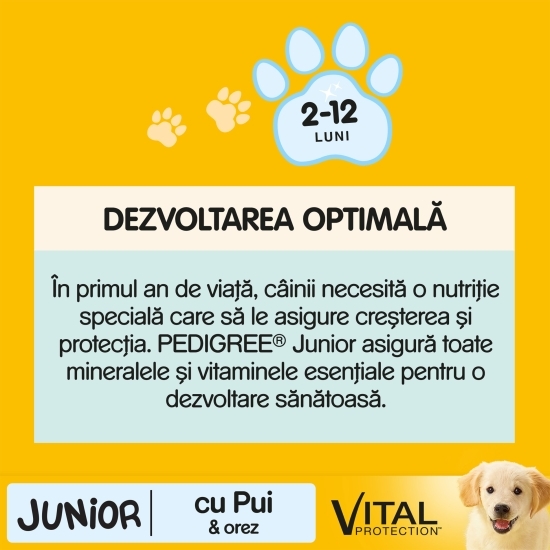 Hrană uscată pentru câini Junior de talie medie, 15kg, cu pui și orez