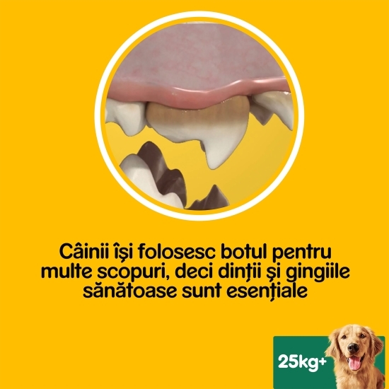 Batoane dentare pentru câini de talie mare, 56 buc, 2160g, Dentastix