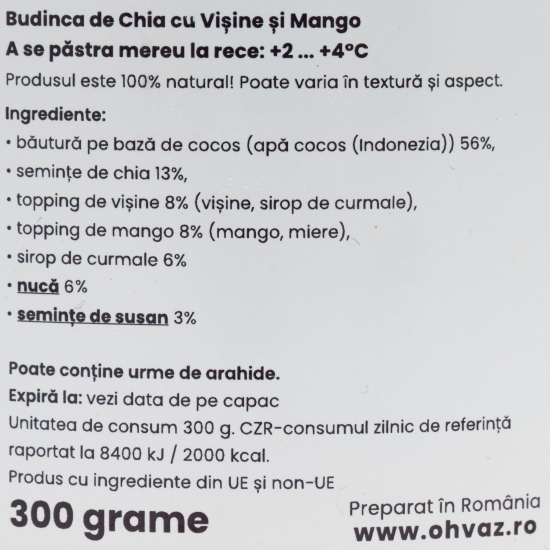 Budincă de chia cu nucă, vișine și mango 300g