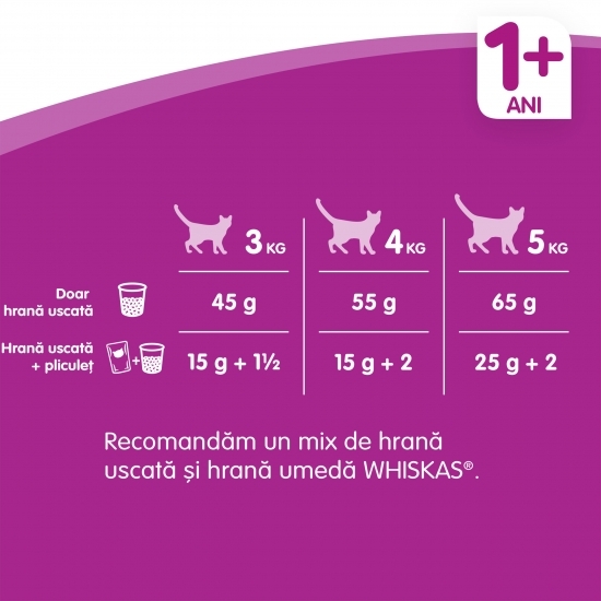 Hrană uscată pentru pisici adulte 1.4kg, cu miel 