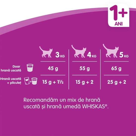 Hrană uscată pentru pisici adulte 1.4kg, cu miel