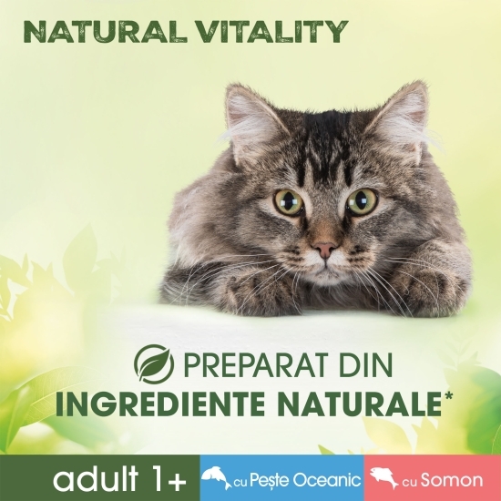 Hrană umedă pentru pisici, 6x50g, Natural Vitality  Adult 1+, cu pește oceanic și somon