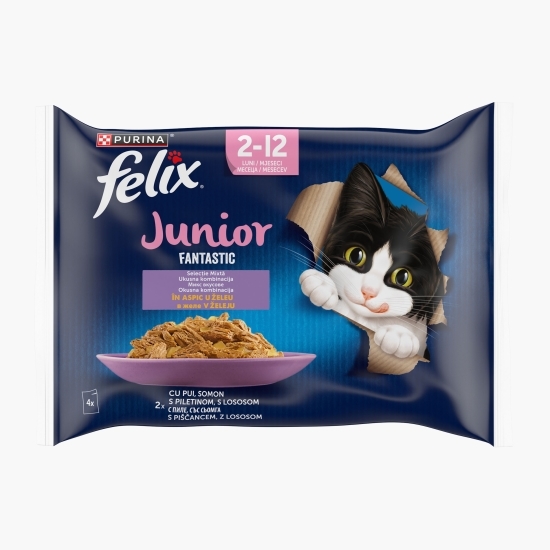 Hrană umedă pentru pisici junior, 4x85g, Fantastic cu pui și somon în aspic